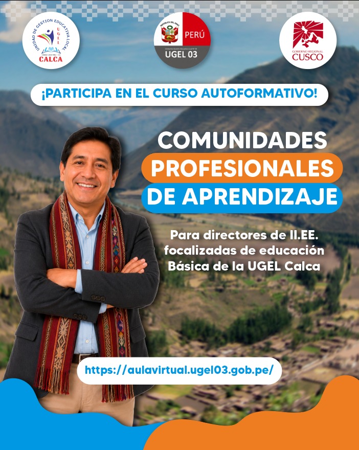 image curso virtual